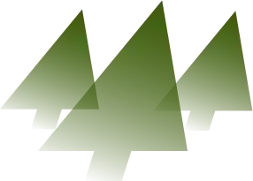Bronco tree logo