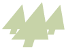 Bronco Tree Icon